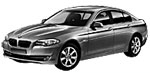 BMW F10 B0217 Fault Code